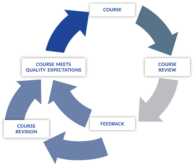 A chart of the QM Review Process. Read the image long description for details.
